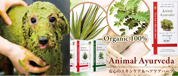 ハーブパックしている犬の画像