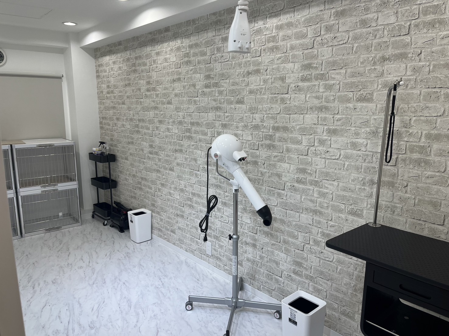 ドッグサロン ラムの処置室の画像